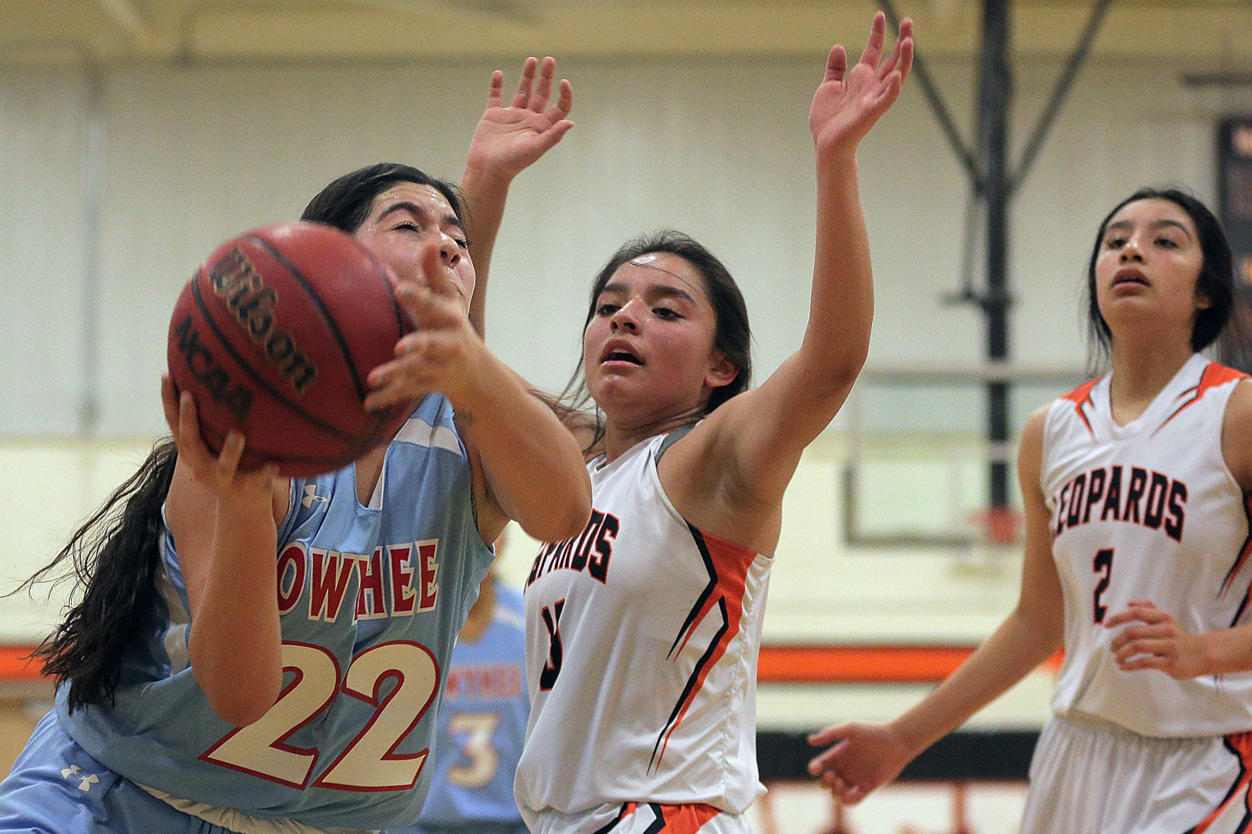 Owyhee at Wells Girls Basketball (83).jpg